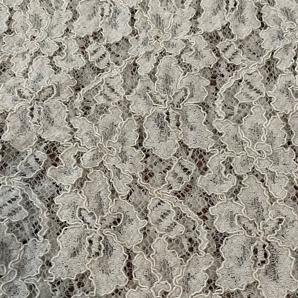 Aritzia Lace Camisole - Picture 2 of 2